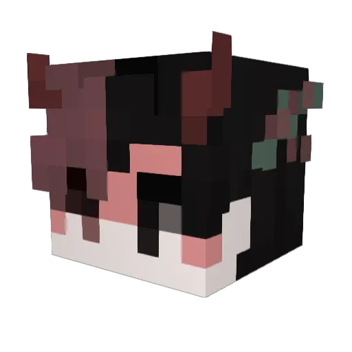 _Wingshot_ Minecraft avatar head, 3D render