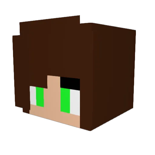 _Wingz Minecraft avatar head, 3D render