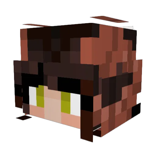 _Winky_ Minecraft avatar head, 3D render