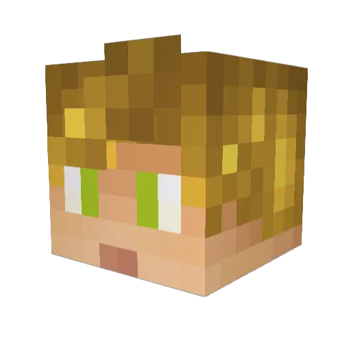 _WinoX_ Minecraft avatar head, 3D render