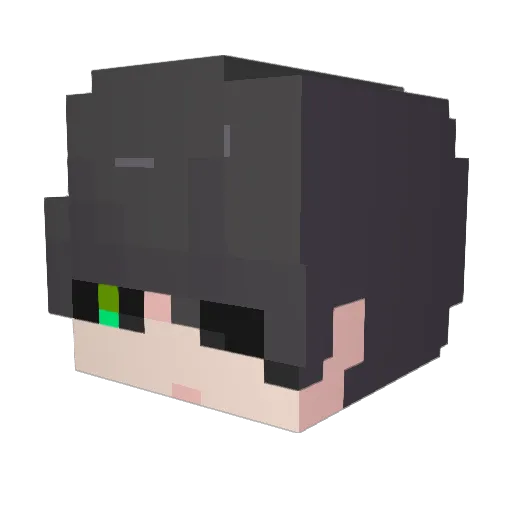 _WinterUR_ Minecraft avatar head, 3D render