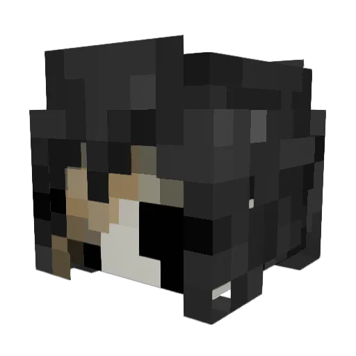 _Winter_ven__ Minecraft avatar head, 3D render