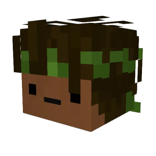 _Wippy Minecraft avatar head, 3D render