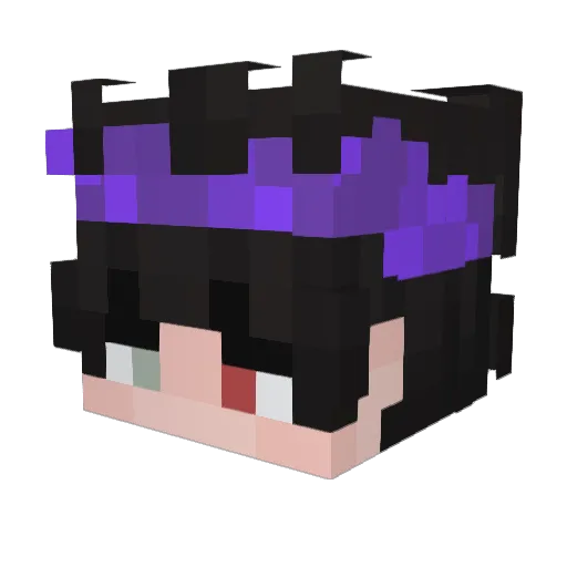 _WiroX_ Minecraft avatar head, 3D render