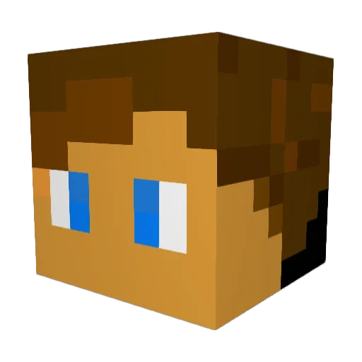 _WitherMike_ Minecraft avatar head, 3D render