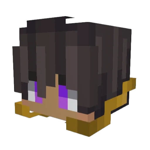 _WizardO Minecraft avatar head, 3D render