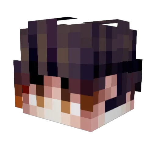 _Wluts Minecraft avatar head, 3D render