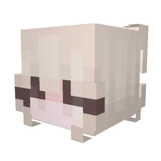 _WojasGMD_ Minecraft avatar head, 3D render