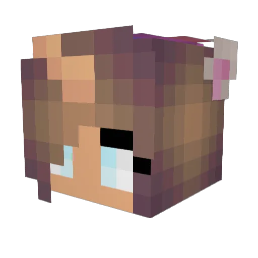 _WolfiePlayz Minecraft avatar head, 3D render