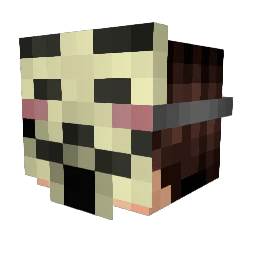 _WomanRespecter_ Minecraft avatar head, 3D render