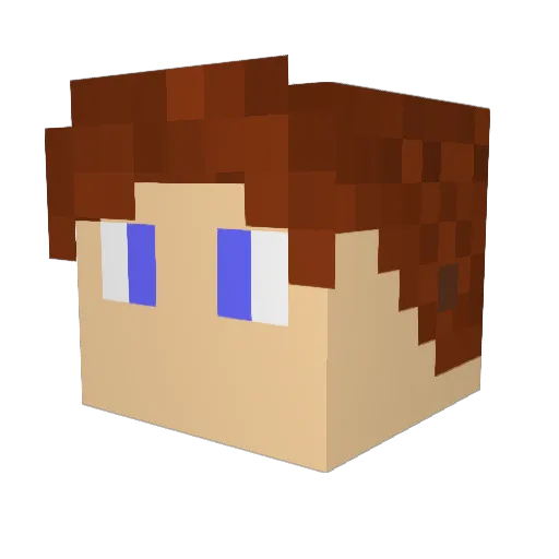 _WooKs_ Minecraft avatar head, 3D render