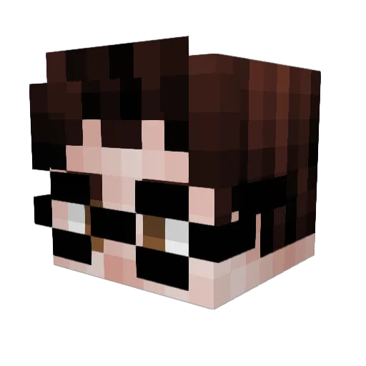 _Wooly_ Minecraft avatar head, 3D render
