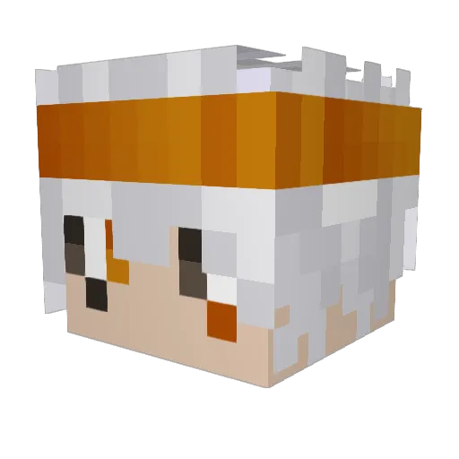 _WosT Minecraft avatar head, 3D render
