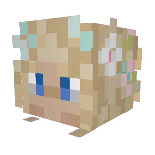 _Wozze_ Minecraft avatar head, 3D render