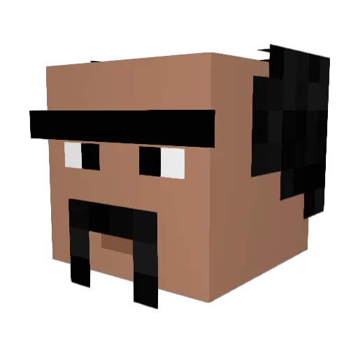 _Wubalubadubdub_ Minecraft avatar head, 3D render