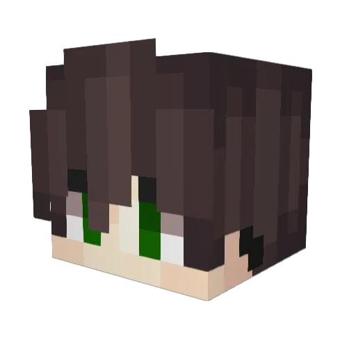 _XJayX_ Minecraft avatar head, 3D render