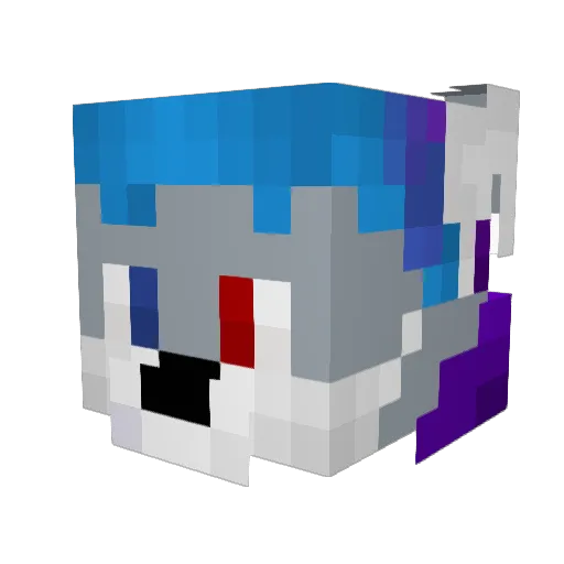_XJay_ Minecraft avatar head, 3D render