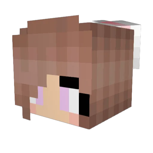 _XLilPringleX_ Minecraft avatar head, 3D render