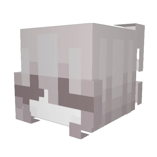 _XO_Hayley_XO_ Minecraft avatar head, 3D render