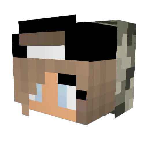 _XSaraX_ Minecraft avatar head, 3D render