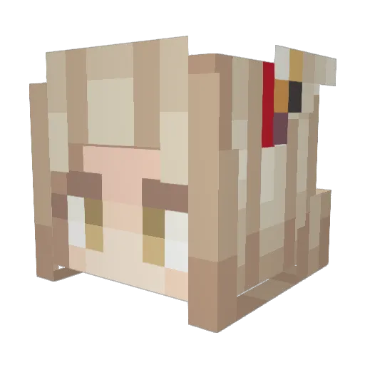 _Xandel_ Minecraft avatar head, 3D render