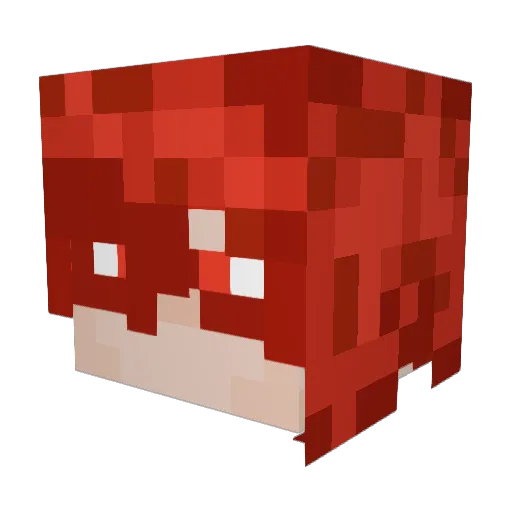 _Xandu Minecraft avatar head, 3D render