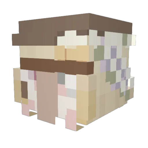 _Xantara Minecraft avatar head, 3D render