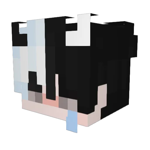 _XblackHoleX_ Minecraft avatar head, 3D render