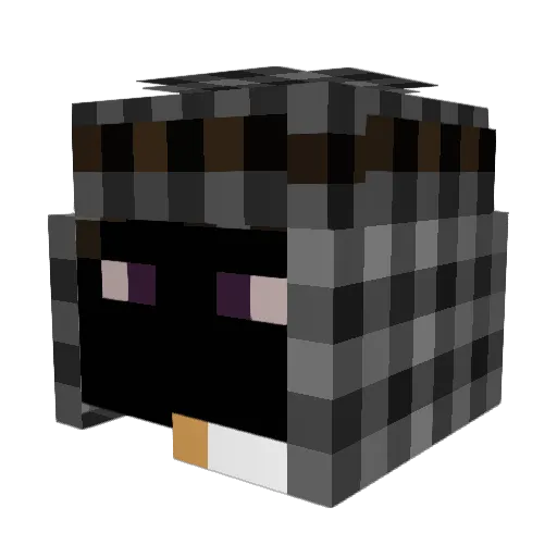 _Xeyz_ Minecraft avatar head, 3D render