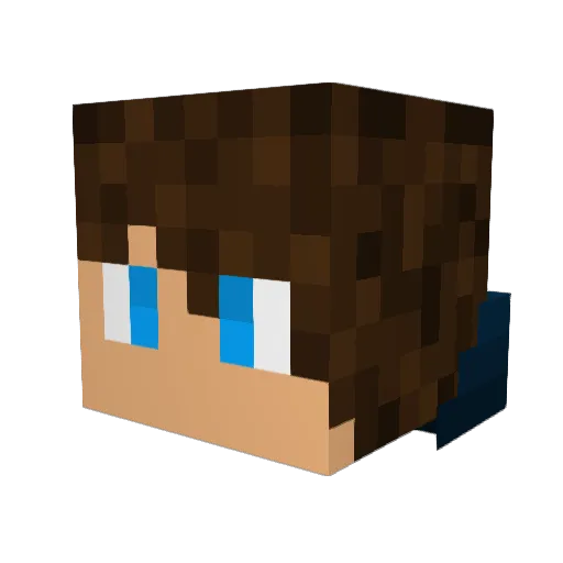 _XuanNi_ Minecraft avatar head, 3D render