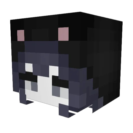 _Xx_Mira_xX_ Minecraft avatar head, 3D render