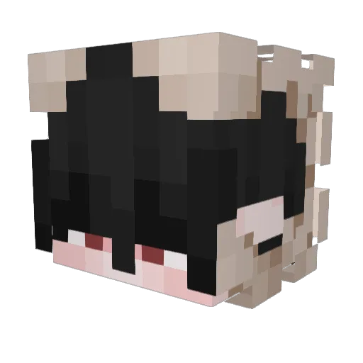 _Xyber Minecraft avatar head, 3D render