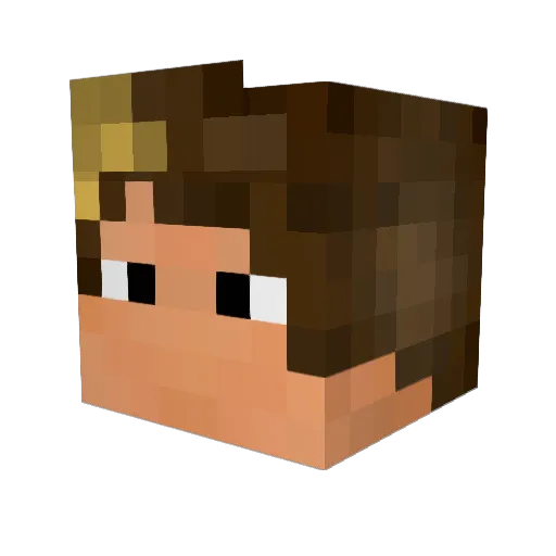 _YG_ Minecraft avatar head, 3D render