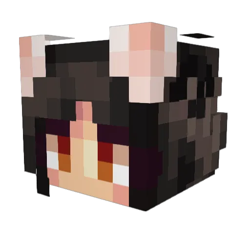 _YT_JSM1259 Minecraft avatar head, 3D render