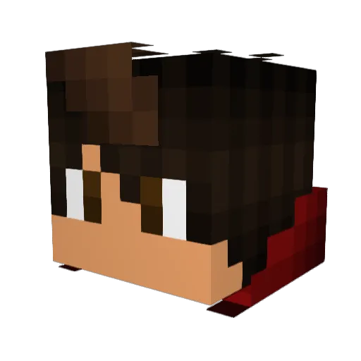 _YaBoiBlake_ Minecraft avatar head, 3D render