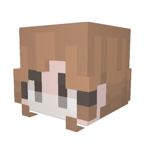 _Yang_0204 Minecraft avatar head, 3D render
