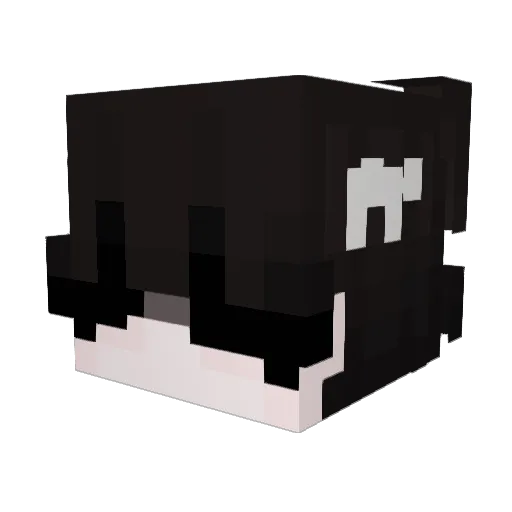 _YellowPika_ Minecraft avatar head, 3D render