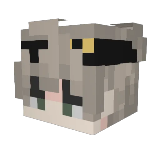 _Yornix Minecraft avatar head, 3D render