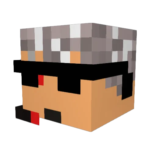 _ZEEE Minecraft avatar head, 3D render