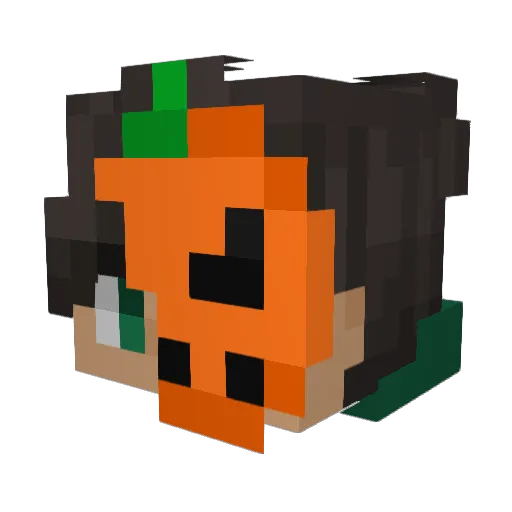 _ZNCR Minecraft avatar head, 3D render