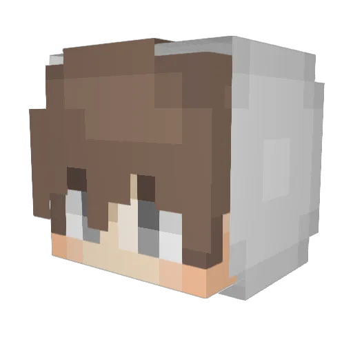 _ZVerox Minecraft avatar head, 3D render