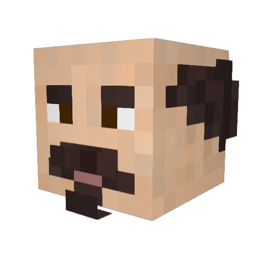 _Z_nATPuOT_ Minecraft avatar head, 3D render