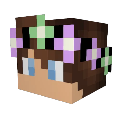 _Zackery_ Minecraft avatar head, 3D render