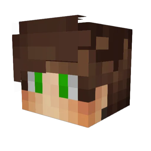 _Zaker_YT Minecraft avatar head, 3D render
