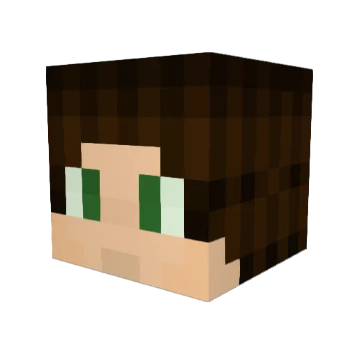 _Zalupay_ Minecraft avatar head, 3D render