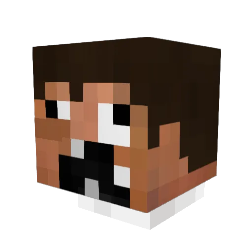 _Zayron_ Minecraft avatar head, 3D render