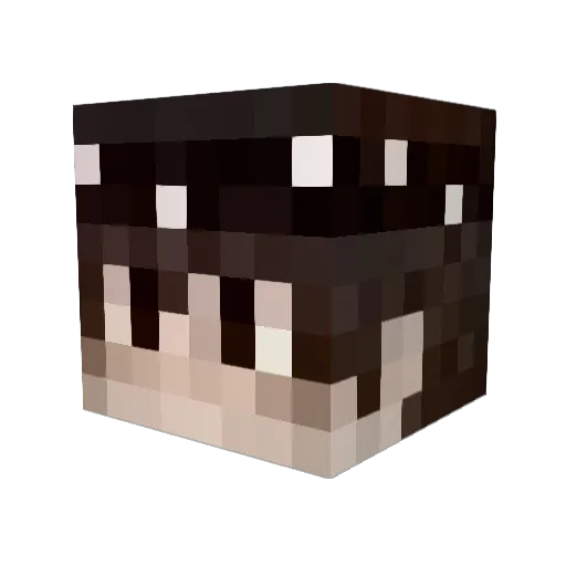 _ZeRnoX Minecraft avatar head, 3D render