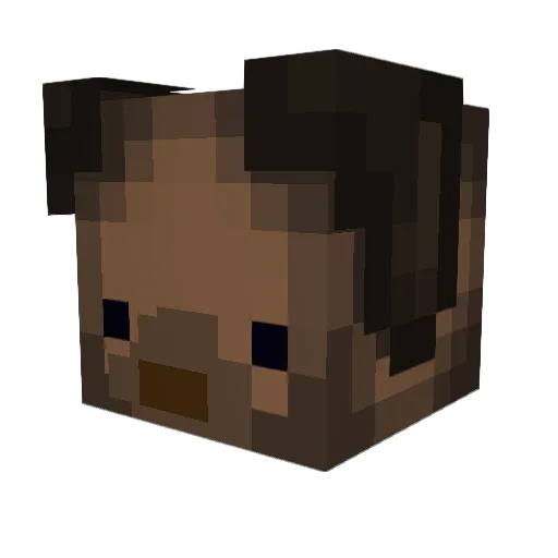 _Zeezer Minecraft avatar head, 3D render