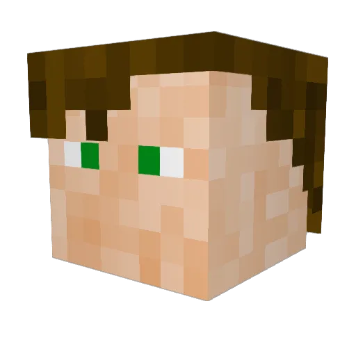 _Zeiss_ Minecraft avatar head, 3D render