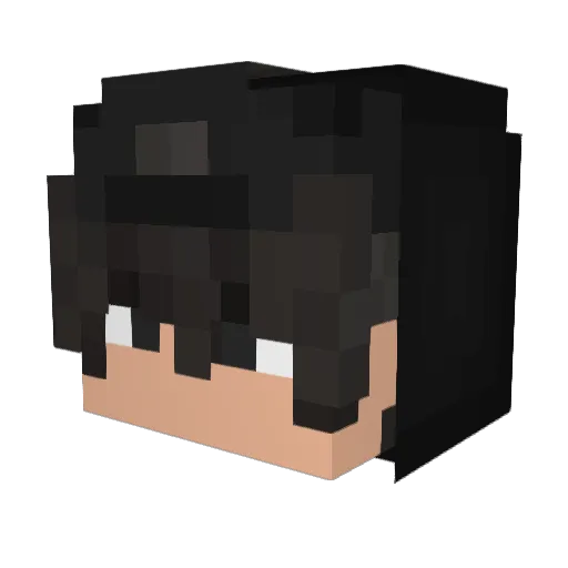 _ZerDiox_ Minecraft avatar head, 3D render
